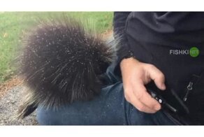 Холодно тут у вас