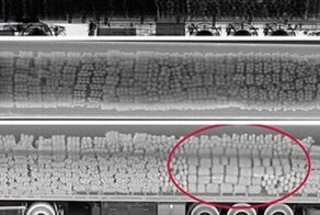 Рентгеновские снимки, от которых невозможно оторвать глаз