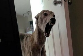 Фотографии, от взгляда на которые невольно становится не по себе