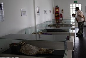 В Колумбии выставили мумии, которым всего около 100 лет