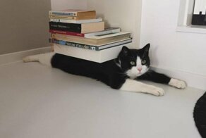 18 фотографий из серии "Не верь глазам своим"