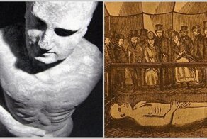 Великий обман 19 века: как на заднем дворе выкопали гиганта