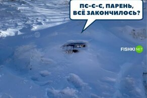 Подборка юмора для автолюбителей