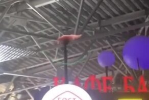 Креативная реклама чебуреков