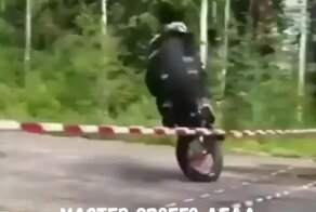 Мастер своего дела