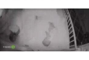 Пока мама крепко спит: cтарший брат пришёл к сестрёнке