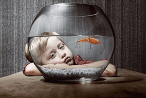 Бессмертные медузы, возбуждающий кофеин и жуткие сказки: интересные факты обо всём