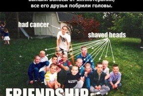 Истинный смысл дружбы (19 фото)