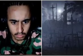 Кошка напугала любителя ужастиков