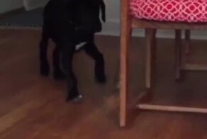 Друзья на всю жизнь