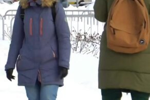 Не видели собаку мою?