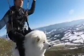 Полёт с лучшим другом