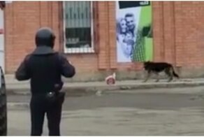 Служебный пёс "обезвредил" подозрительный предмет