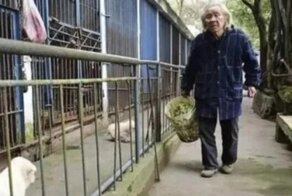Самый одинокий зоопарк: 81-летний китаец спасает животных, которые пострадали от людей