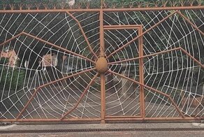 38 примеров дизайна, заслуживающего похвалы