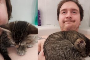 15 пушистых липучек, которым плевать на личное пространство