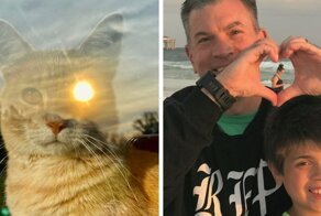 16 снимков, на которых был пойман максимально удачный момент
