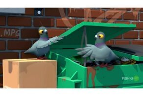 Пернатые уличные музыканты