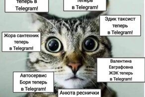 Великое переселение в Telegram и реакция на это соцсетей