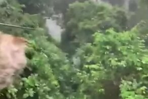 Ленивая помеха во время спуска на зиплайне