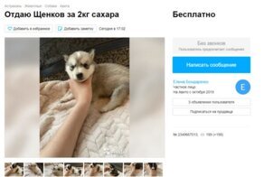 "Меняю туфли на гречку": как россияне пытаются сбагрить ненужные вещи