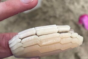 20+ фото интересных находок, которые сделали пользователи сети