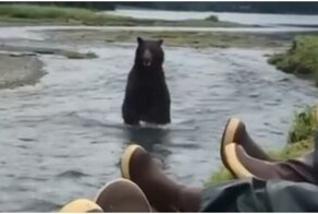 Отдых на природе в компании медведя