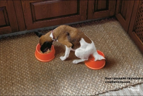 Рекламный креатив (53 фото)