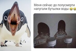 40 странных фотографий, от которых становится не по себе