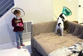 Детские поступки, которые поразили взрослых до глубины души