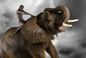 Звериный бодиарт (19 фото)