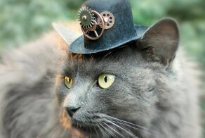 Симпатичные кошачьи шляпки от дизайнера Амели Сегарчану