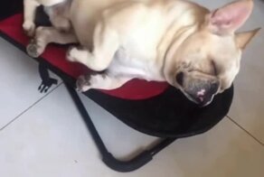 Спортом позанимался, можно и отдохнуть