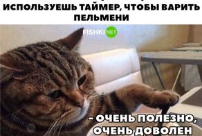 Решил заняться ЗОЖ, а на дворе 2022-й год