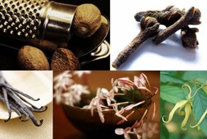 10 фактов о самых полезных запахах (10 фото)