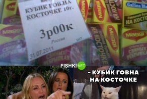 Мемы с котом, который каламбурит по полной