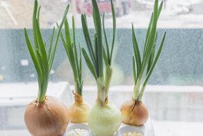 6 советов про экономию, актуальных и в СССР, и сейчас