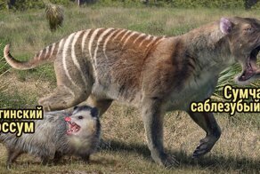 Тогда и сейчас: как современные животные смотрелись бы рядом с их вымершими предками