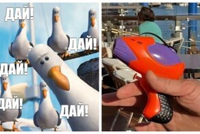 Захватить Италию и печеньки: туристам в Венеции выдали пистолетики отстреливаться от чаек