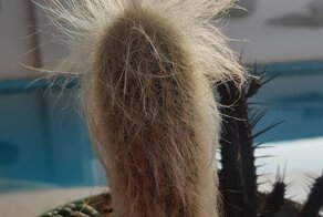 17 гипнотизирующих фотографий, которые заставят пораскинуть мозгами