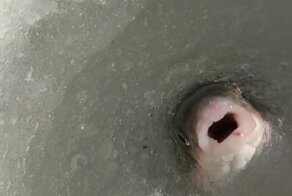 Вот и поговорили 