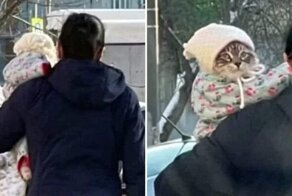 15 кадров, которые повысят ваш уровень серотонина выше некуда