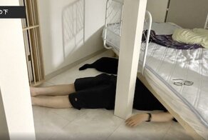 Японка 24 ночи спала там же, где её коты, чтобы выяснить, удобно ли это