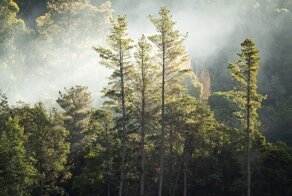 30+ фактов, которые вас удивят