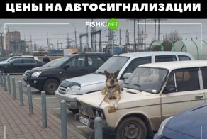 Подборка автомобильного юмора