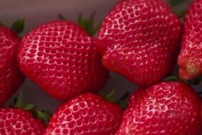 Самая дорогая и вкусная клубника в мире из Японии