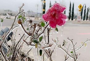 30 снимков, которые доказывают, что изменение климата — не шутка