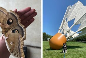 Чем больше, тем лучше: 19 находок, которые поражают своими размерами