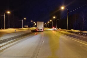 Авария дня. Под Новосибирском парень бросился под фуру
