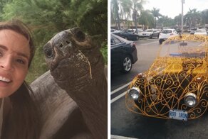 33 занятных фото, которыми поделились пользователи сети